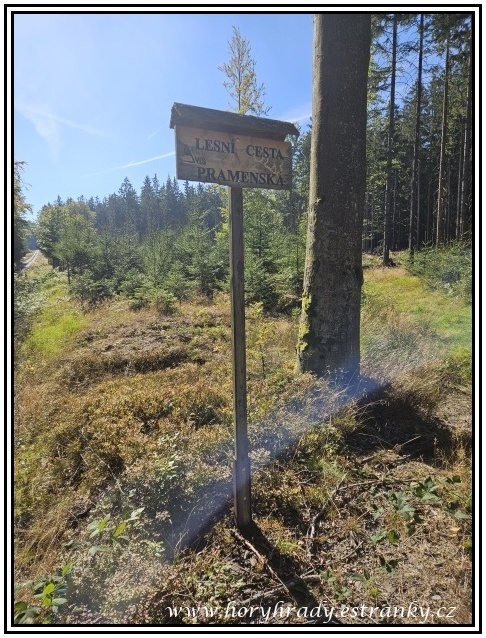 Lesní_cesta_Pramenská