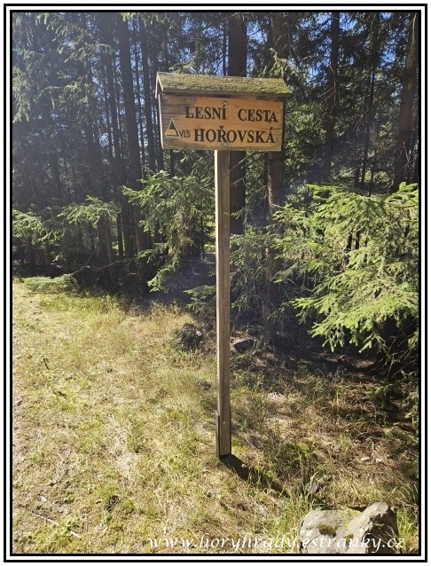 Lesní_cesta_Hořovská__01