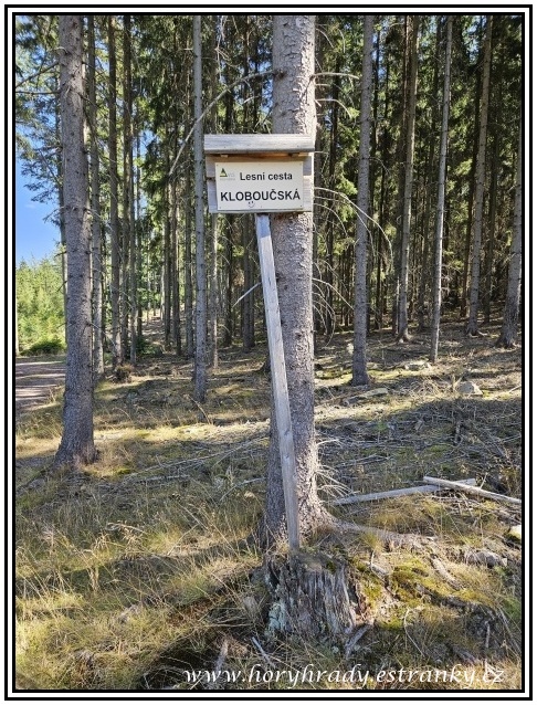 Lesní_cesta_Kloboučská