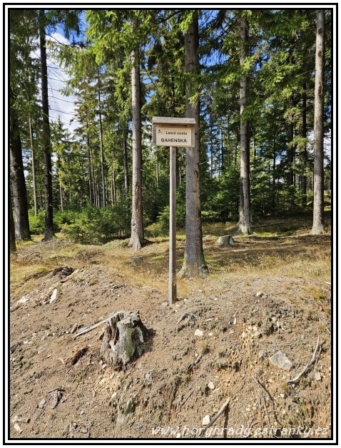 Lesní_cesta_Bahenská
