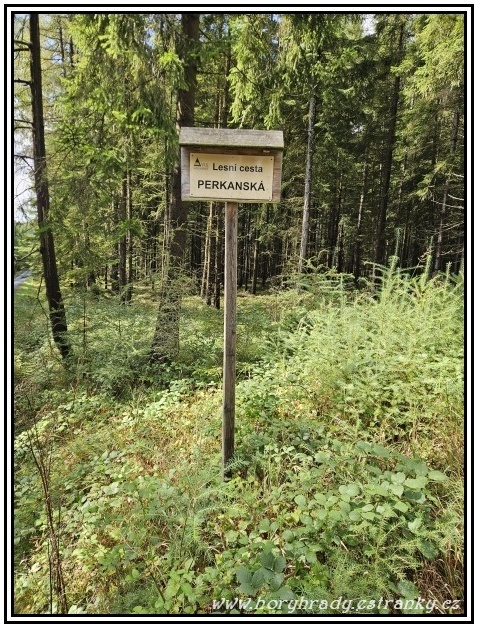 Lesní_cesta_Perkanská